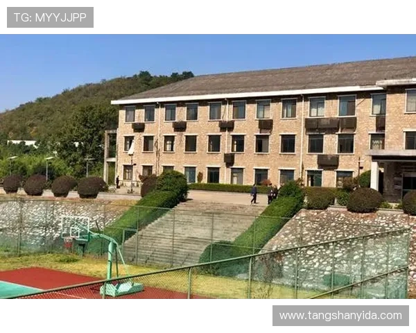 南京滑板队成员个人能力深度对比与发展潜力分析