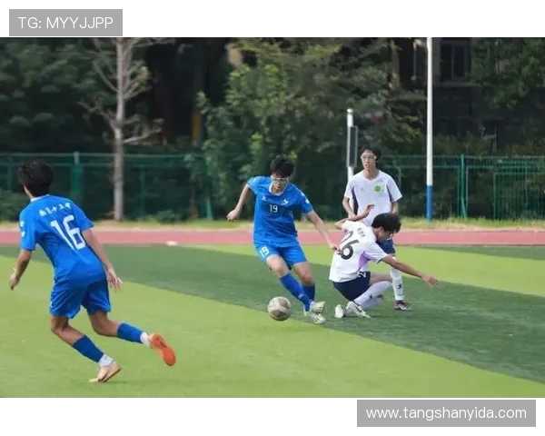 南京足球队在挑战赛中的实力展现与战术分析全面点评 南京足球队在挑战赛中的实力展现与战术分析全面点评