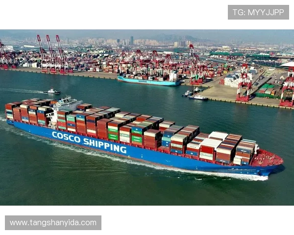 广州攀岩队荣登攀岩意识排行榜首位引领全国攀岩热潮 广州攀岩队荣登攀岩意识排行榜首位引领全国攀岩热潮