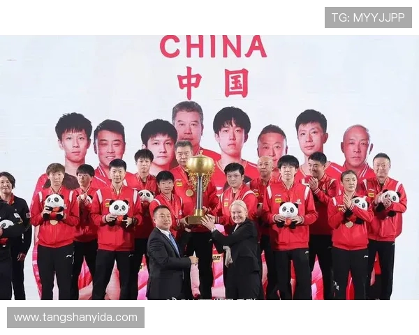 成都羽毛球队勇闯世界杯之路的奋斗与荣耀故事