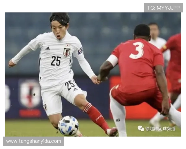 成都网球队区域防守战术深度解析与实战应用探讨