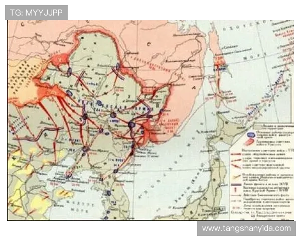 深入分析广州排球队防守策略与战术特点的全景解读