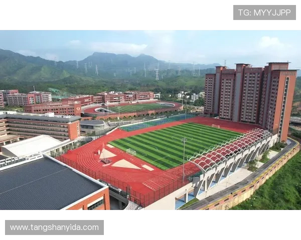 深圳排球队选拔赛特别报道:从传统到现代的全面转型之路 深圳排球队选拔赛特别报道:从传统到现代的全面转型之路