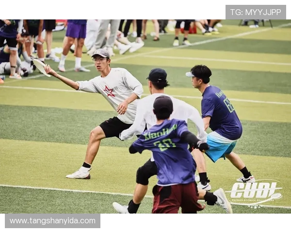 赛后复盘:武汉飞盘队vs南京飞盘队的团队协作 赛后复盘:武汉飞盘队vs南京飞盘队的团队协作