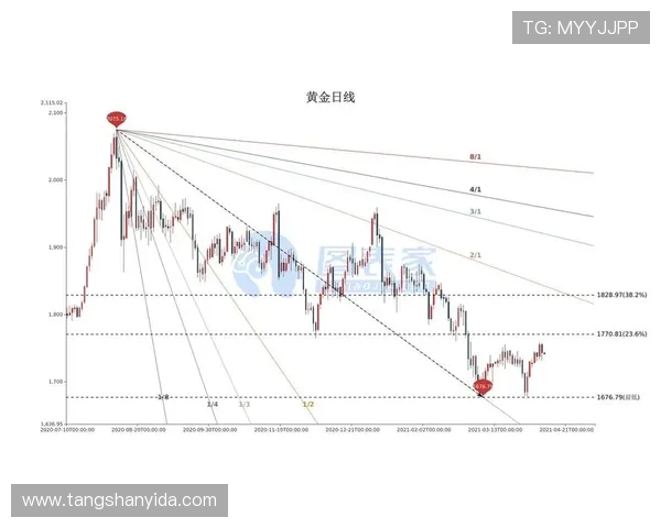 重庆乒乓球队控制策略解析：从训练到比赛的全方位探讨
