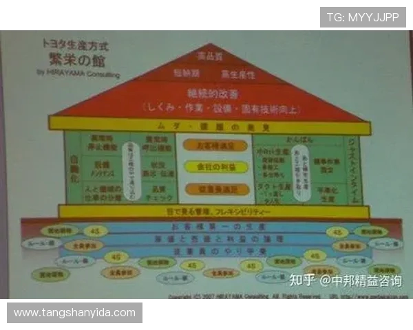 代怀博的成长之路与未来发展展望：从初创到行业领军者的蜕变之旅