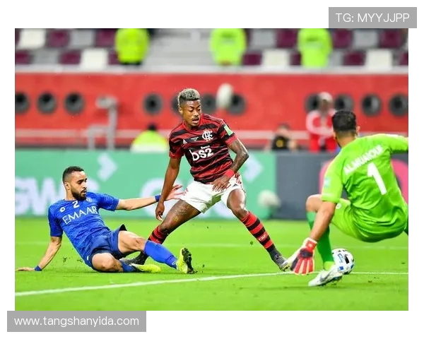 庞特普与弗拉门戈对决分析及比赛前瞻全面解读