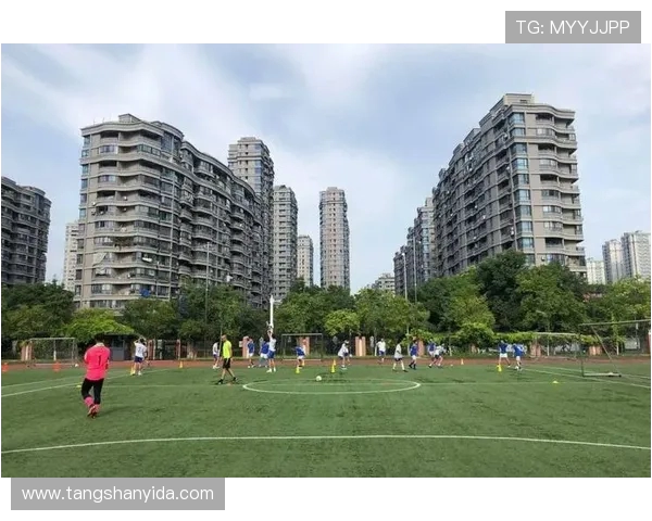 陈军独家解析足球技巧与战术心得助你提升球技与比赛表现