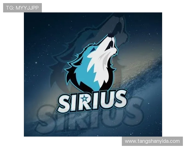 DOTA2战术分析：深入探讨BLG团队包夹策略的成功与挑战