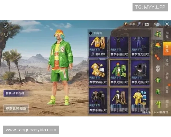 深入探讨和平精英成功背后的策略与黄芳的独特见解